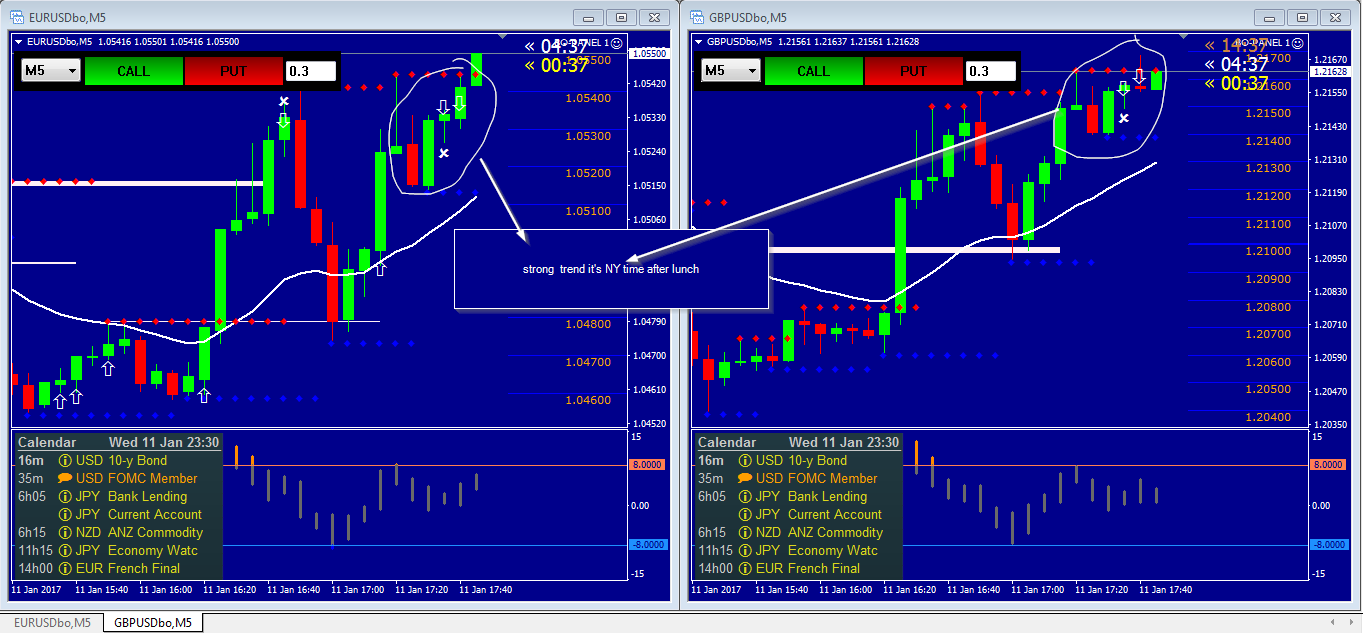 Binary options 30 day challenge