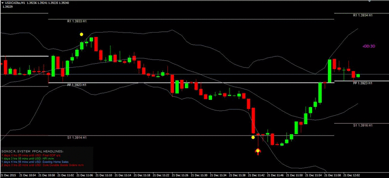 Susano binary options
