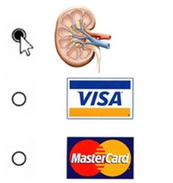 15f239a5a514642c6fd1a4a6e9930da3.png