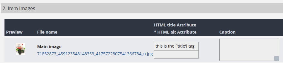 HTML title Attibute