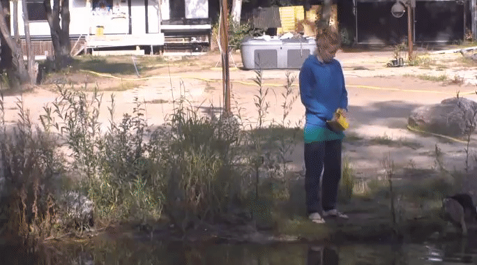 163165588d80b49d30019a68b9890c4e.gif