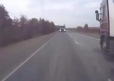 164eb86358708a5f02ee5b08c26716a8.gif