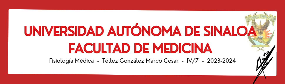 FISIOLOGIA MEDICA