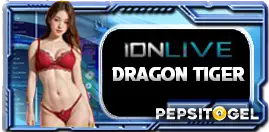 Casino Games 24D