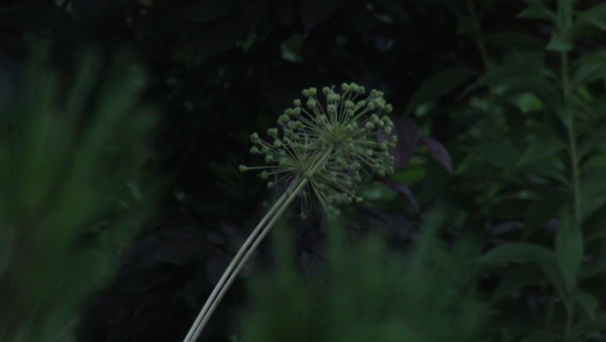 16a09702b26b7f71091abc2845cf9816.png