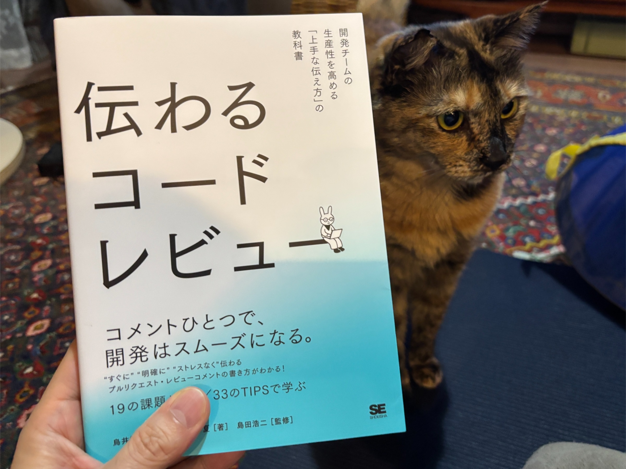 20250428 それが好きだから自分でやるのいいじゃん