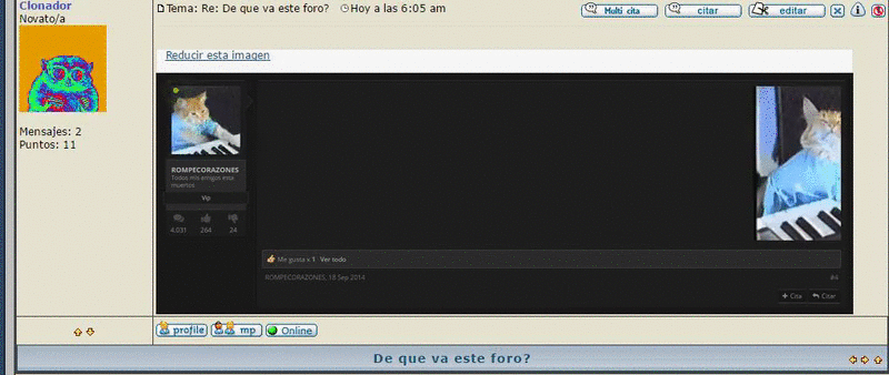 19f40138e3a7d6eef855a754cf7615cd.gif