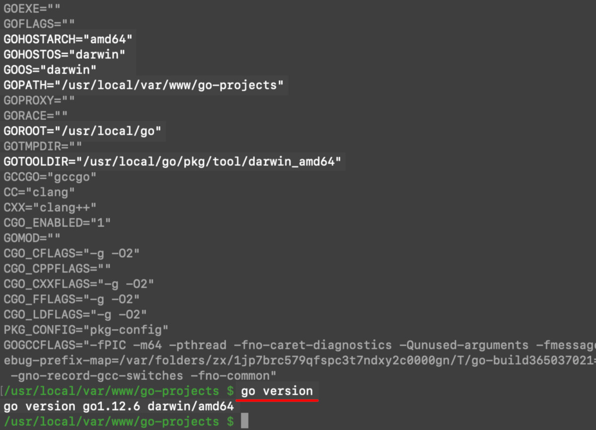 Screenshot of a terminal in macOS getting Golang's version and environmental variables
