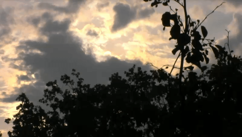 1a786b75809cf14a30db0fe7a4db4949.gif