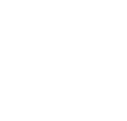 Ancestral Conquerer