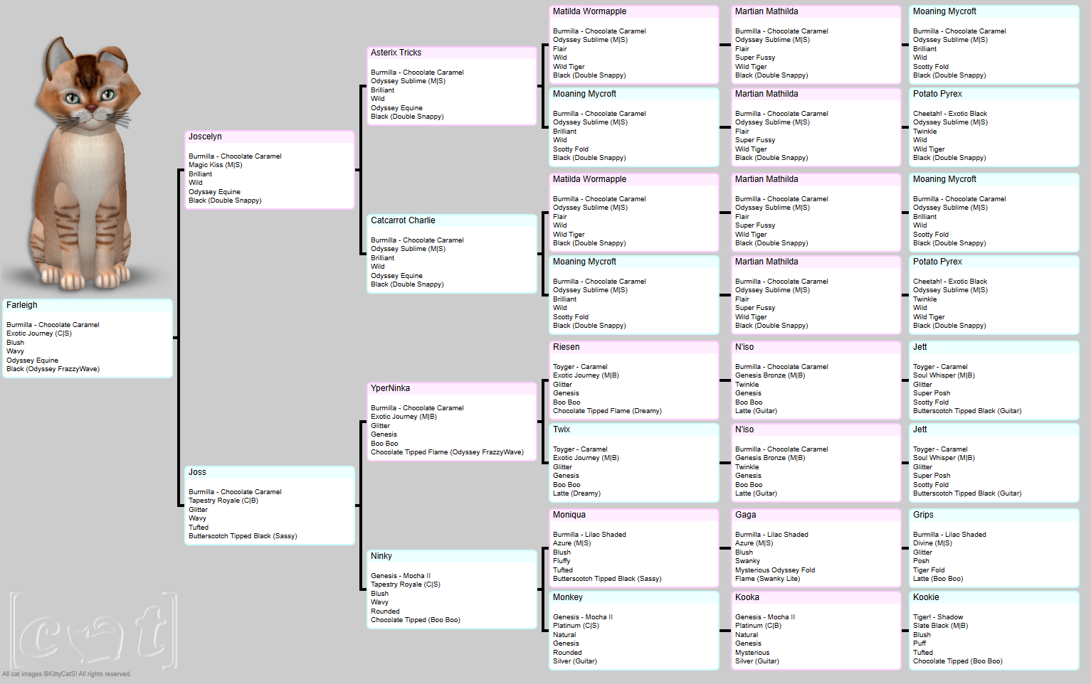 [Image: 1aad080a973b2298fa54fa81f90e0f9d.png]