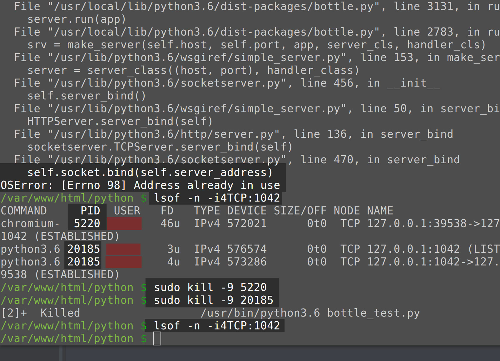 Terminal window screenshot using lsof and kill commands to end a process by its PID