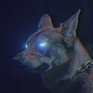 1c83fcb7712664bda8d4fd478f9747c6.png