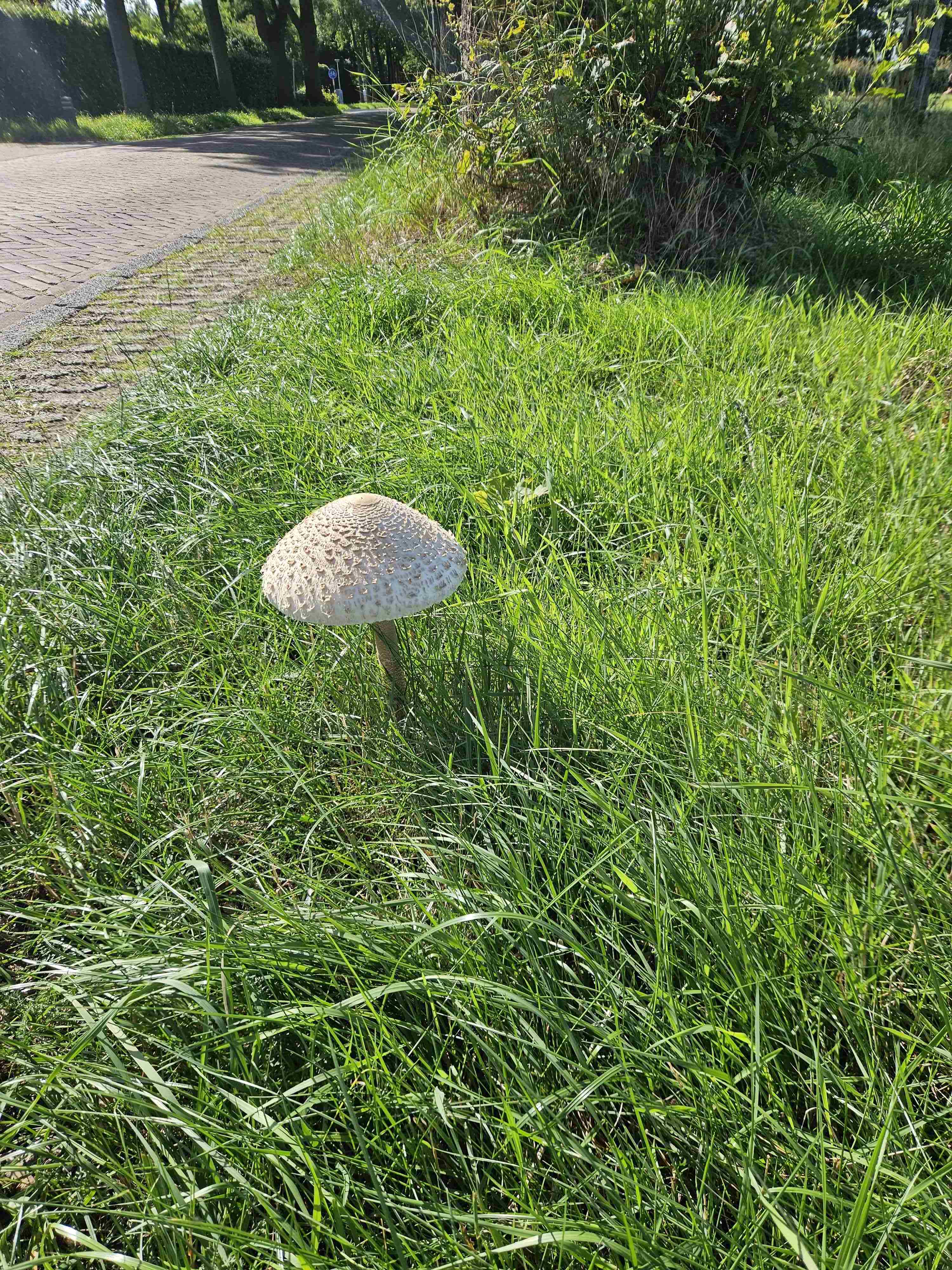 1ca2caf858293b7085779c8df03e9c09.jpg