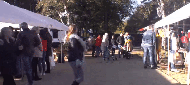 1ca6fa1e7d0f69a90942595e257ae9c9.gif