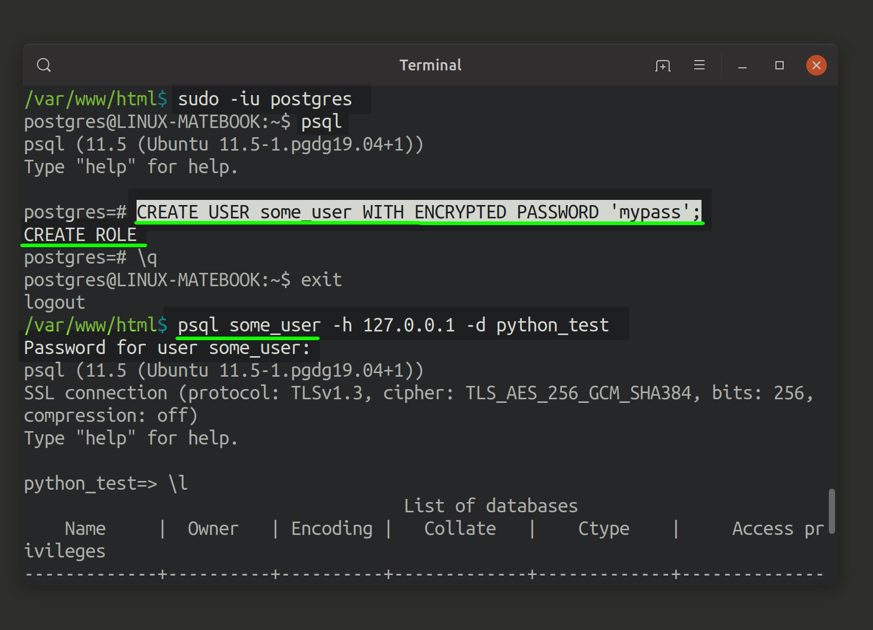 psql postgres app tutorial