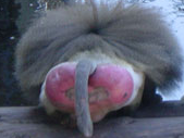 1d95faa880b5915eda11357768457ce4.png