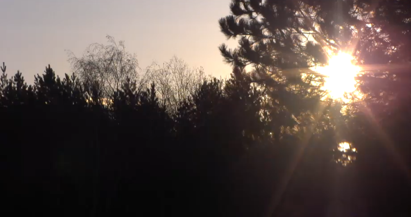 1e3d8de6579253cc01b0e0c21e9dc2a2.png