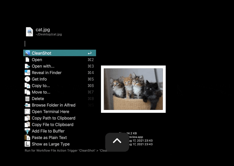 猫の画像をAlfredで検索して、Cleanshot の pin 機能を試している動画