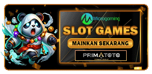 MICRO GAMING