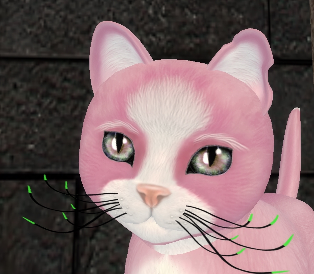 [Image: 2059ae4b919526aa39371ee51c42852a.jpg]