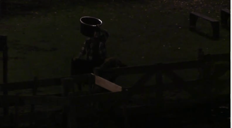 208e943306a8de061d9600c8c5064280.gif