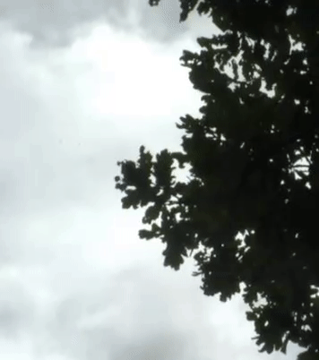 21a834c187b18185d82312c6e4aa987f.gif