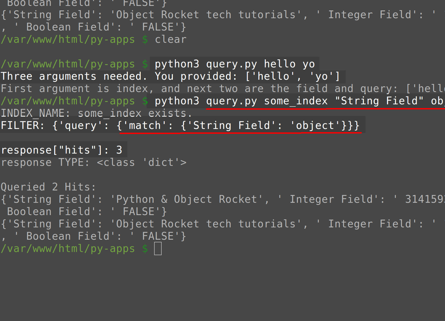 Terminal screenshot passing arguments to a Python script to make an Elasticsearch query