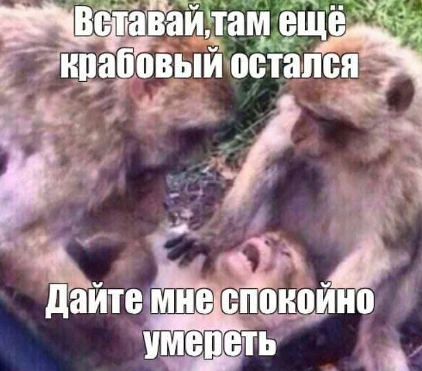 22b6148c5a677ecb2305c2387fb24be7.png