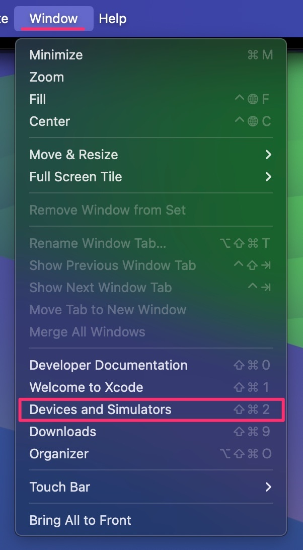 【Unity】デバイス内iOSアプリ内部データを使ってデバッグの効率化_0