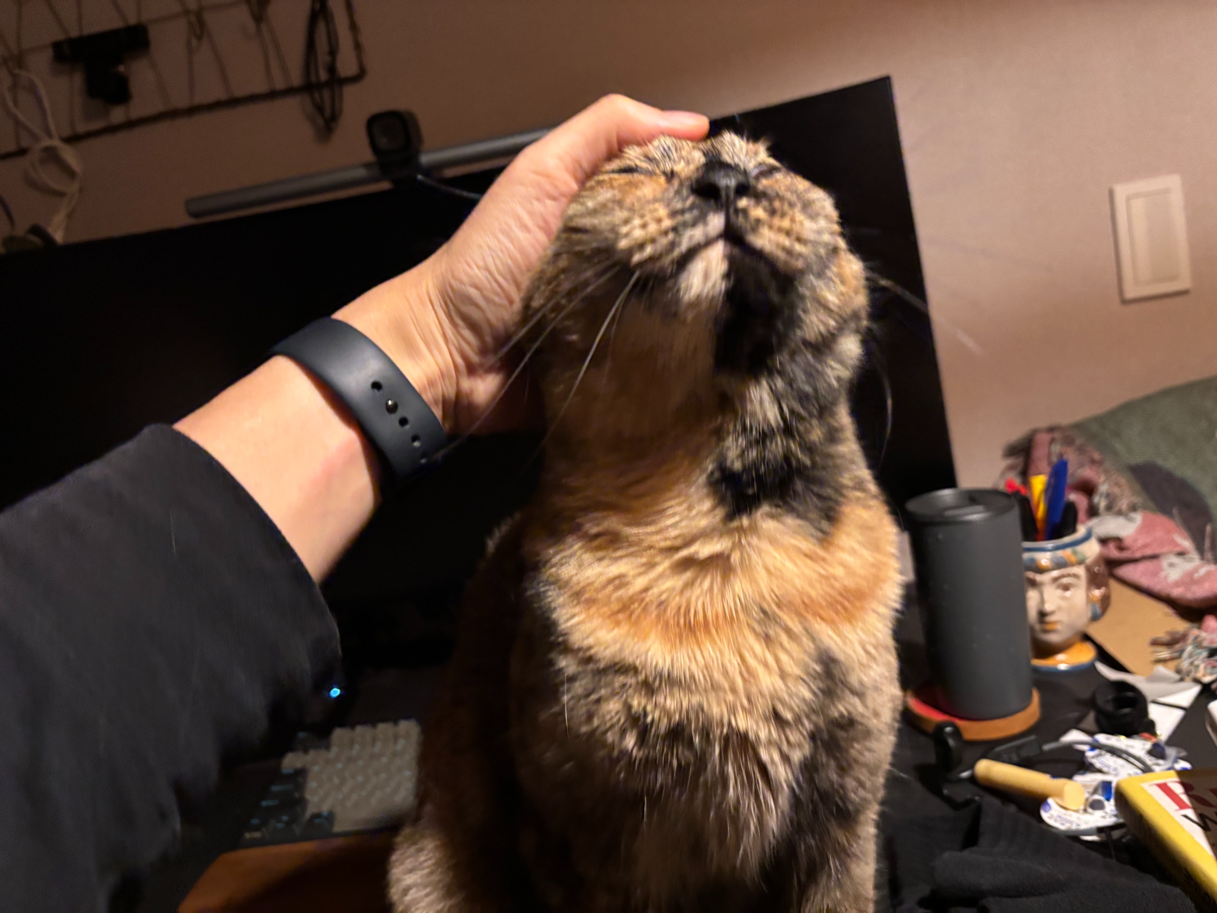 20250115 あと1時間早く起きたい