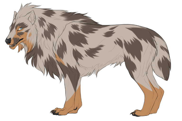 Design Guide: Merle by DesignDen on DeviantArt