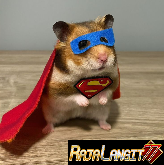 RAJALANGIT77 > BAGIAN DARI SITUS TOTO BANDAR TOTO MACAU TERPERCAYA INDONESIA