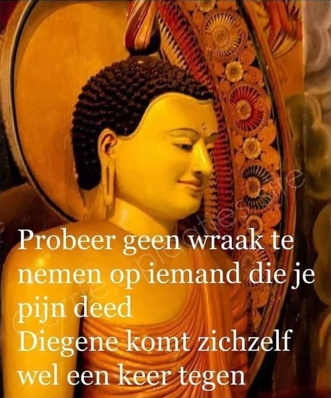 242e42be3314bb02e75dc2631028d2cd.jpg