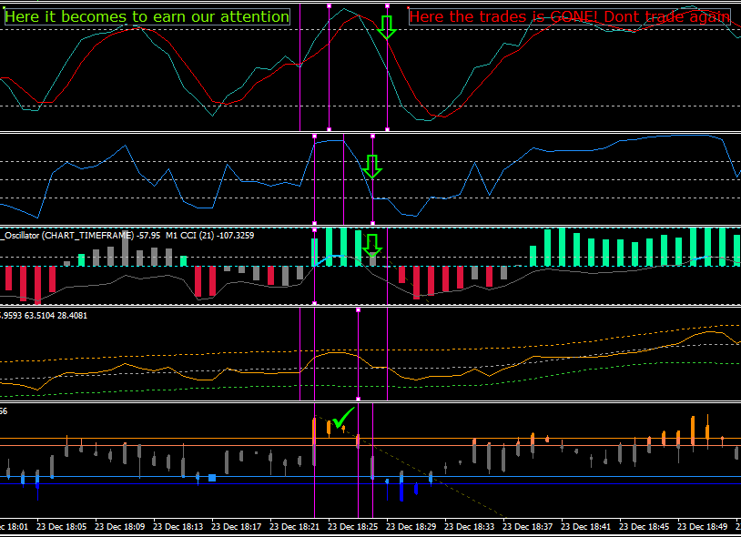 no touch binary options buddy 2 0 ex4