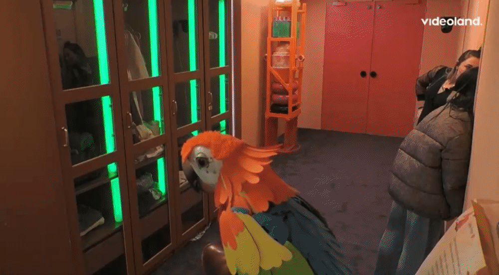 25b492b19a29c847d5e3df58a9781cd3.gif