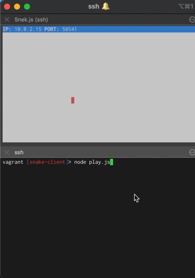 GitHub - atyoshimatsu/snake-client