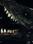 25f312ab9c9bf026ab431a22794200d9.png