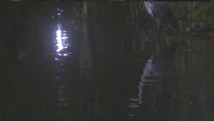 2625328f3ac722233583f51716006f01.gif