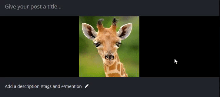 266e77e14b4cbb1a5cff76b8f85a70f6.gif