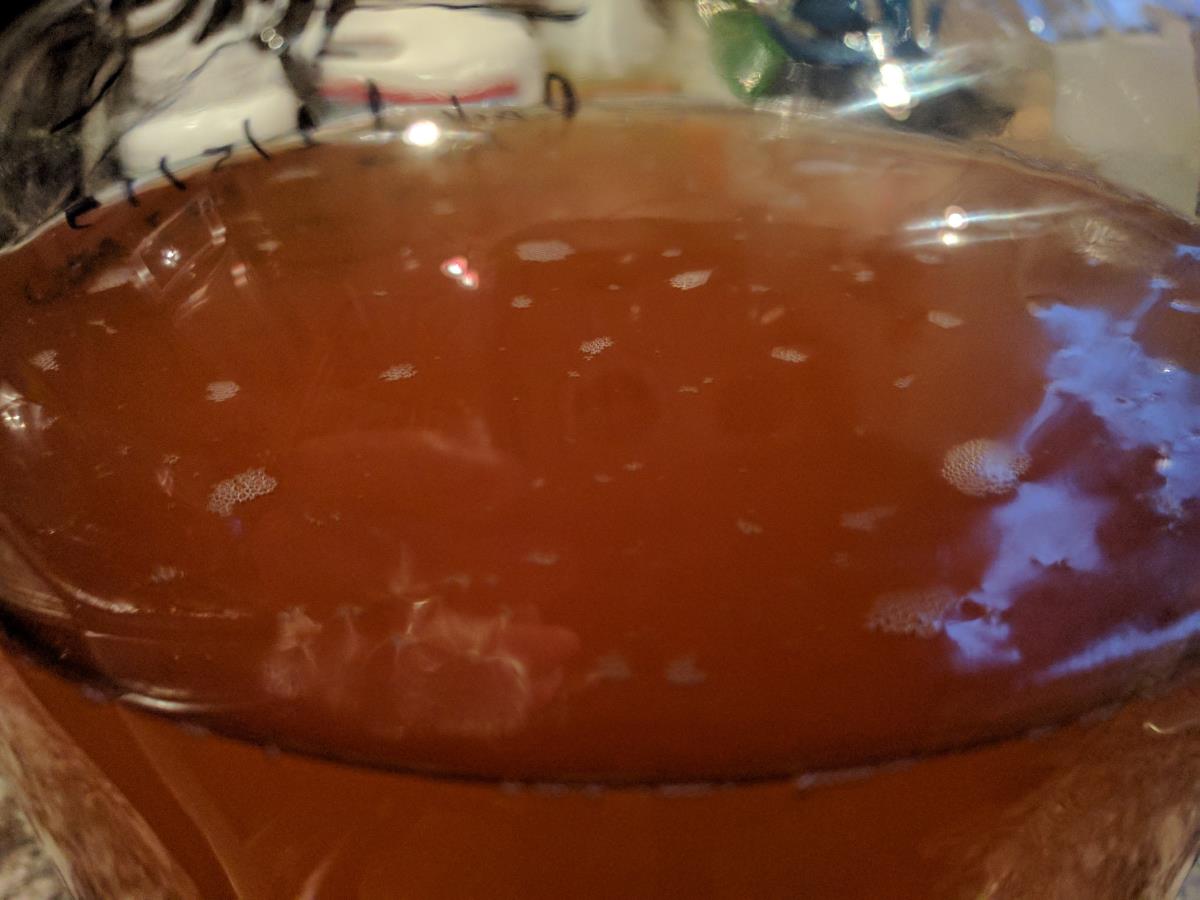 Is my mead healthy? r/mead