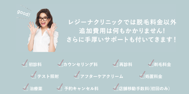 レジーナクリニックのオプション料金に関する画像 レジーナクリニックのオプション料金に関する画像