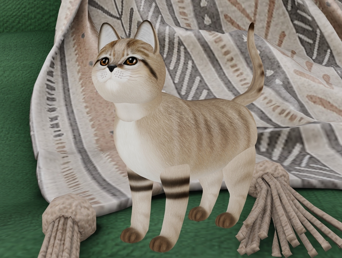 [Image: 27a16013364f9f6c230272338e462eef.jpg]