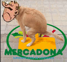 2824d8d3fcd585e8bb750a782b919800.png