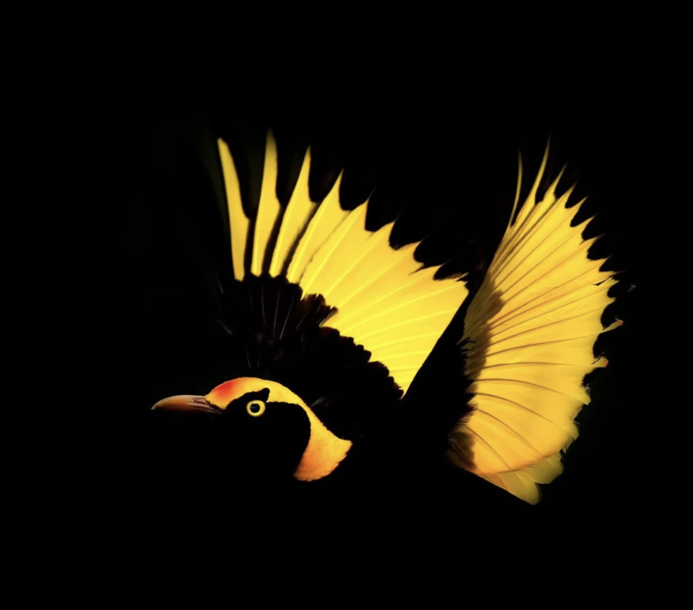 28965b731facf4d1754d3940fc22d81e.png
