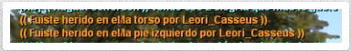 Reporte / Wilde Donald Gurrier, Leori Casseus 28ecf7344657114eccad5e7eed73d1d4