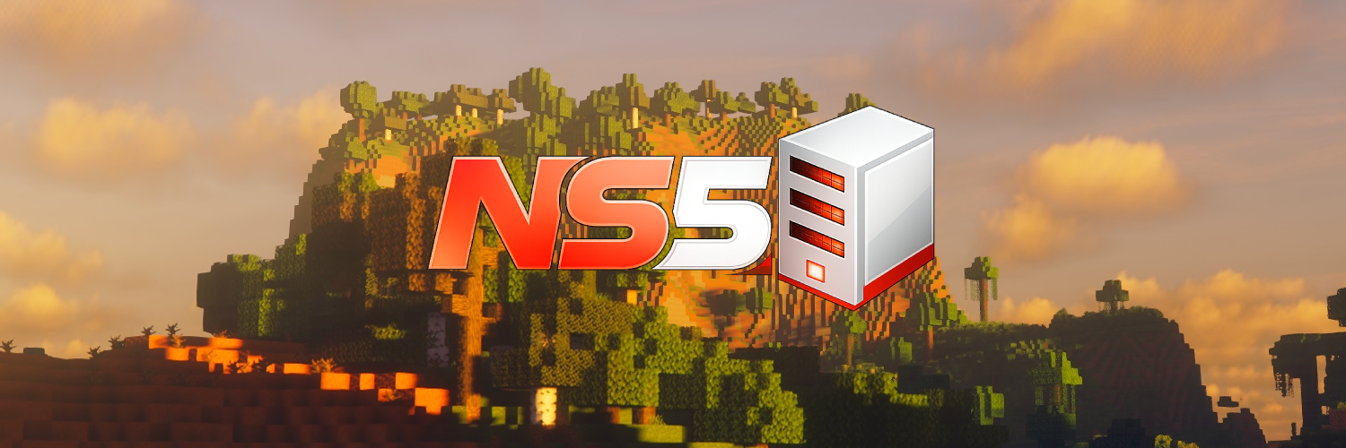 NS5 banner 1