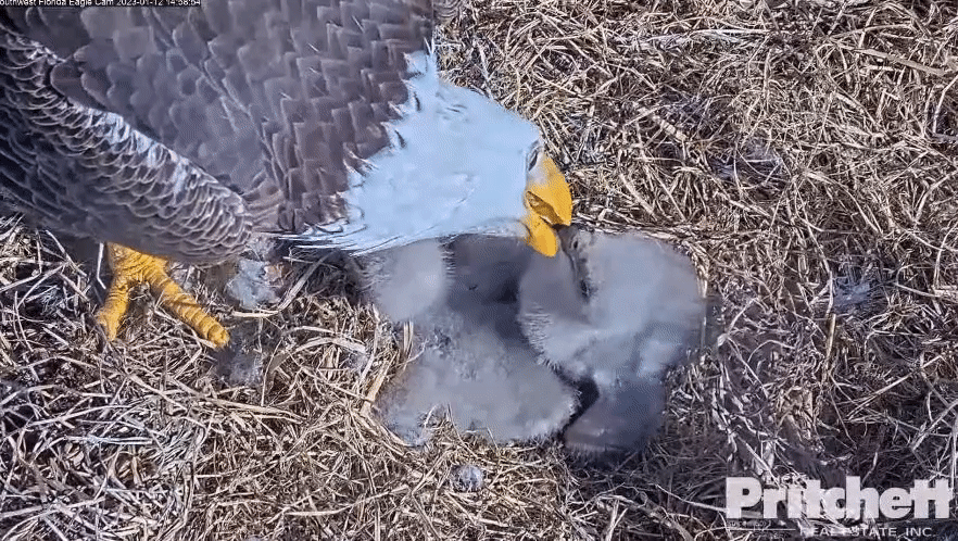 2a6ef506355b772492a263f16ed55a51.gif