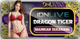 24d dhltoto togel slot casino online