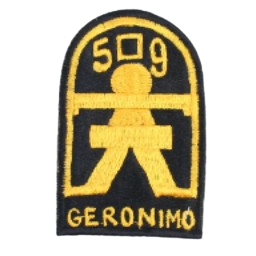 Ingame Shoulder Patch